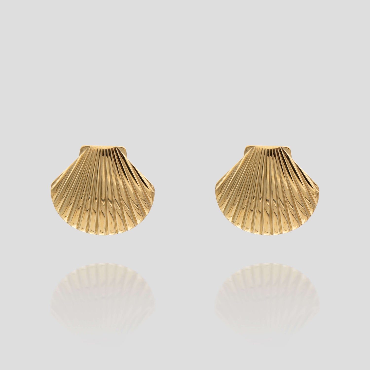 Kailani Seashell Earrings